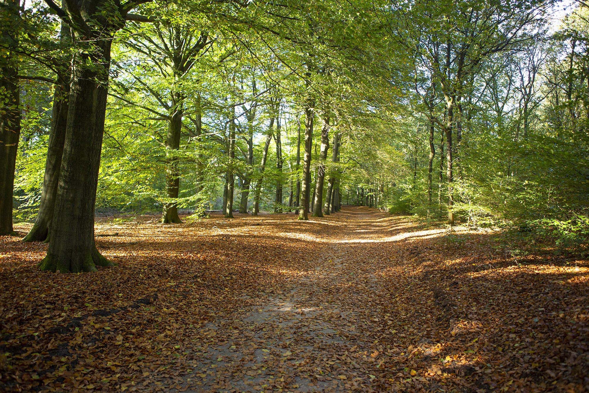 Prachtige wandeltochten